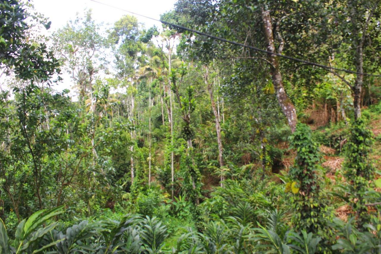 Arabian Nights Munnar Βίλα Εξωτερικό φωτογραφία