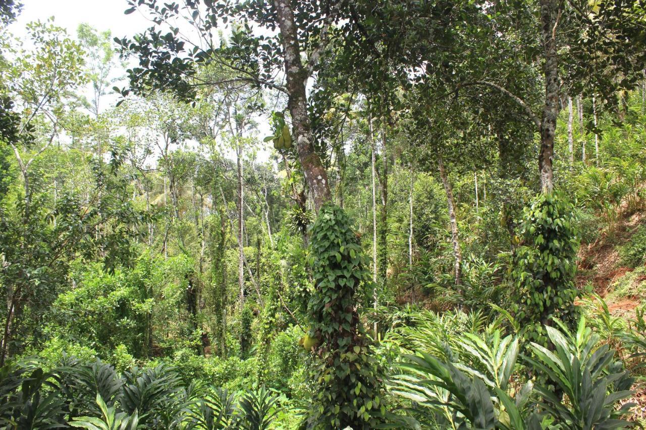 Arabian Nights Munnar Βίλα Εξωτερικό φωτογραφία