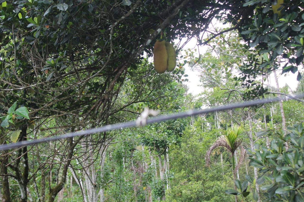 Arabian Nights Munnar Βίλα Εξωτερικό φωτογραφία